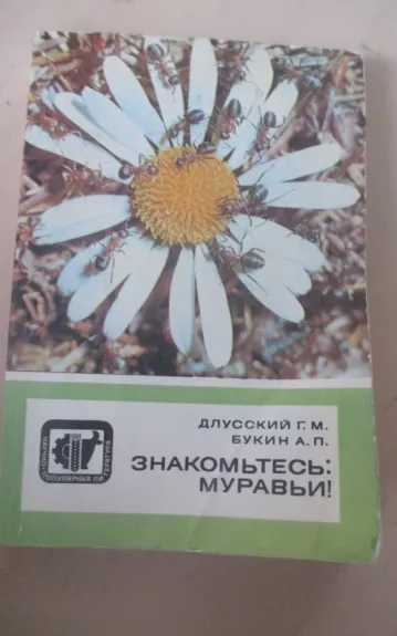 Знакомьтесь, муравьи