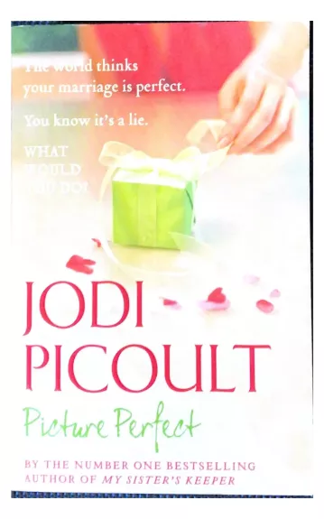 Picture Perfect - Jodi Picoult, knyga