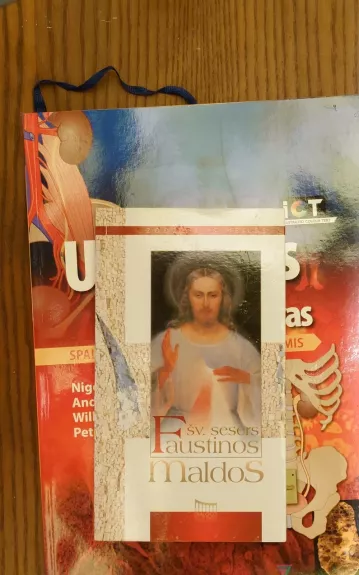 Šv. sesers Faustinos maldos - Daina Parulskienė, knyga
