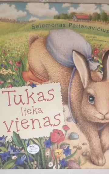 Tukas lieka vienas - Selemonas Paltanavičius, knyga 1