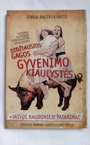 Didžiausios Gagos gyvenimo kiaulystės, atskleistos visiškai slaptame dienoraštyje - Jurga Baltrukonytė, knyga
