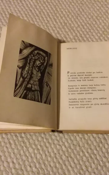 Maironis poezija rinktinė - Autorių Kolektyvas, knyga 1