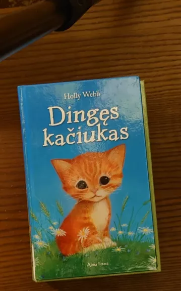 Dingęs kačiukas - Holly Webb, knyga