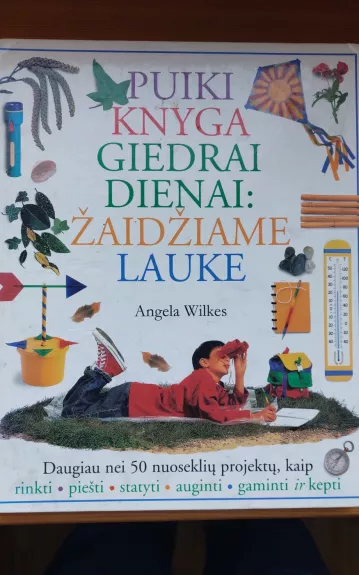 Puiki knyga giedrai dienai: žaidžiame lauke