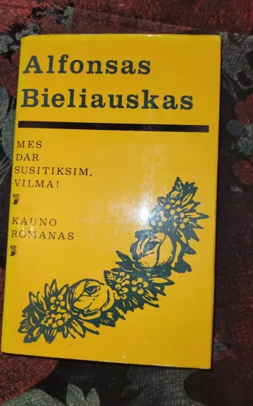 Mes dar susitiksim Vilma! Kauno romanas - Alfonsas Bieliauskas, knyga