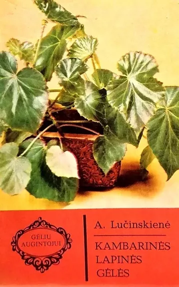 Kambarinės lapinės gėlės - A. Lučinskienė, knyga