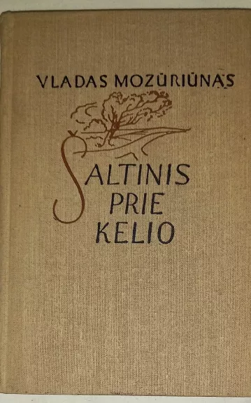 Šaltinis prie kelio