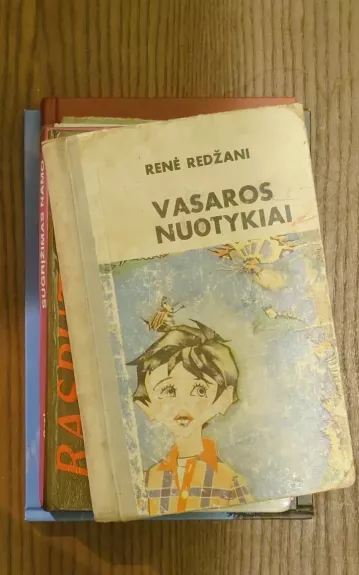 Vasaros nuotykiai - Renė Redžani, knyga