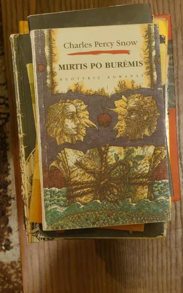 Mirtis po burėmis