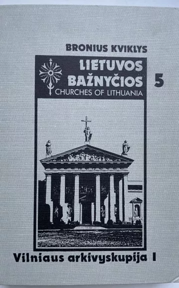 Lietuvos bažnyčios (5-as tomas) - Bronius Kviklys, knyga
