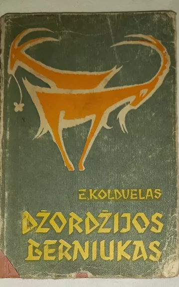 Džordžijos berniukas - Erskinas Koldvelas, knyga