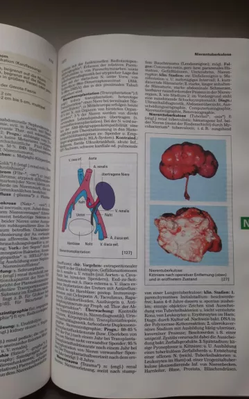 Pschyrembel klinisches Worterburch