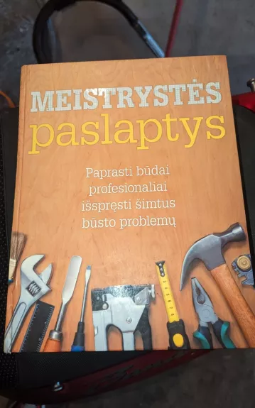 Meistrystės paslaptys