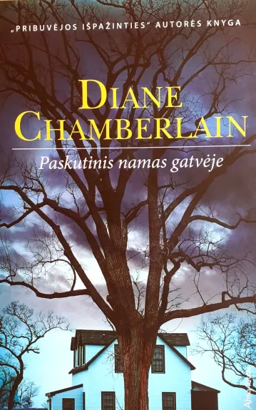 Paskutinis namas gatvėje - Diane Chamberlain, knyga
