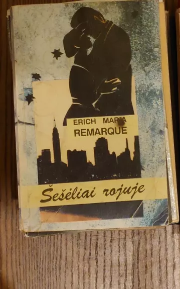 Šešėliai rojuje - Erich Maria Remarque, knyga