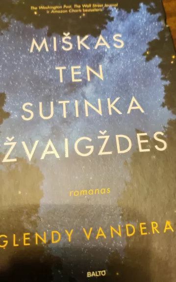 Miškas ten sutinka žvaigždes - Glendy Vanderah, knyga