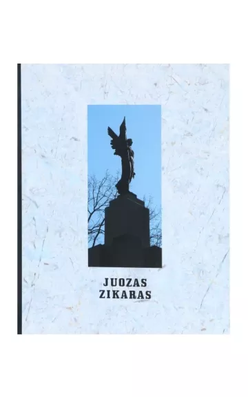 Juozas Zikaras - Banytė Miglė Laukaitienė Vaiva, knyga