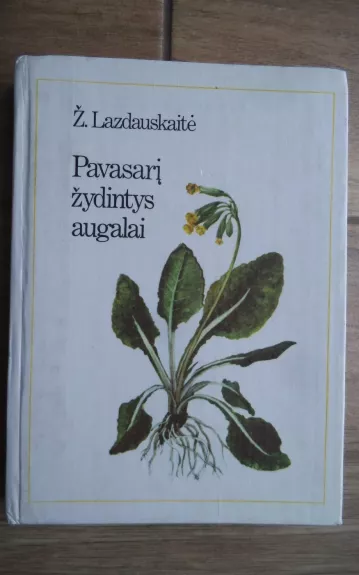 Pavasarį žydintys augalai