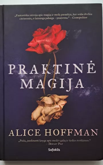 Praktinė magija - Alice Hoffman, knyga