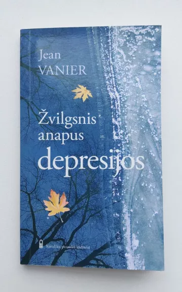 Žvilgsnis anapus depresijos - Jean Vanier, knyga