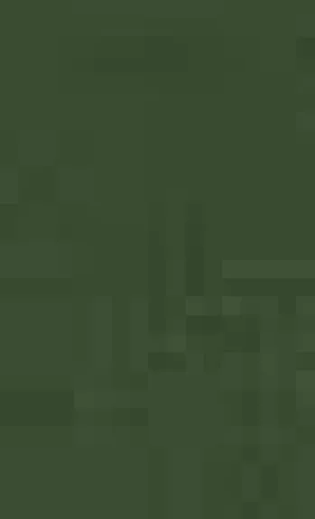 Vaistai iš močiutės klėtelės: išbandyti liaudies medicinos receptai