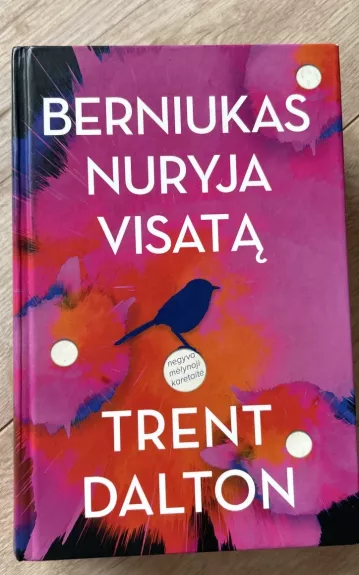 Berniukas nuryja visatą - Trent Dalton, knyga