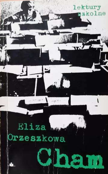 Cham - Eliza Orzeszkowa, knyga
