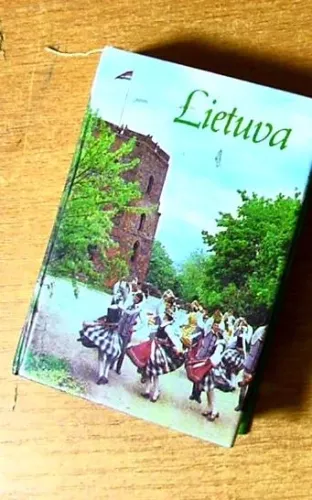 Lietuva - Gedvydas Vainauskas, knyga