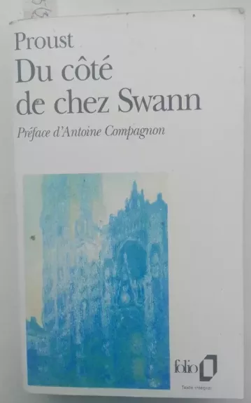 Du côté de chez Swann - Marcel Proust, knyga 1