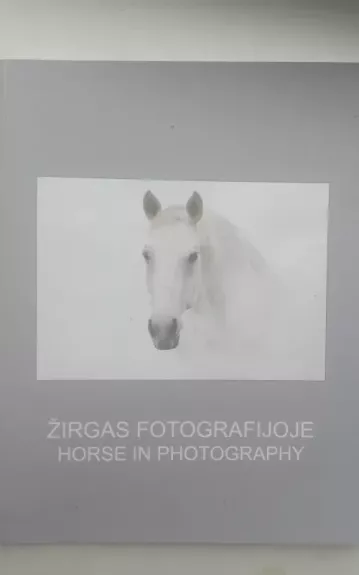 Žirgas fotografijoje