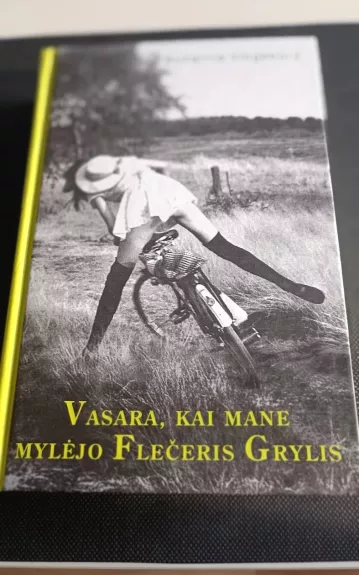 Vasara, kai mane mylėjo Flečeris Grylis