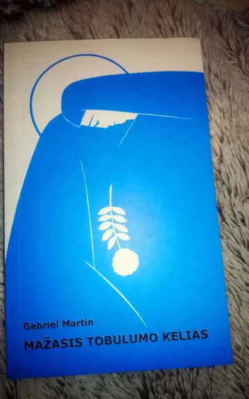 Mažasis tobulumo kelias