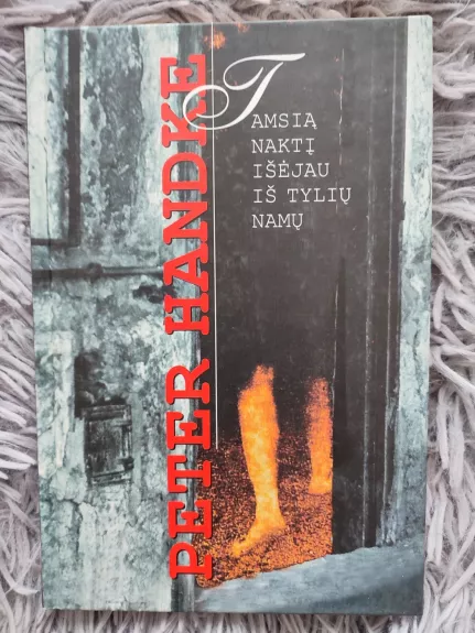 Tamsią naktį išėjau iš tylių namų