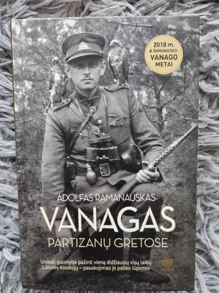 Partizanų gretose