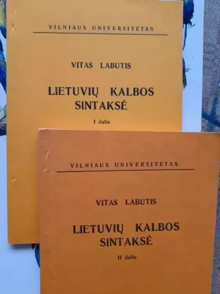 Lietuvių kalbos sintaksė