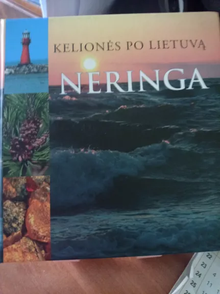 Kelionės po Lietuvą: Neringa - Selemonas Paltanavičius, knyga 1