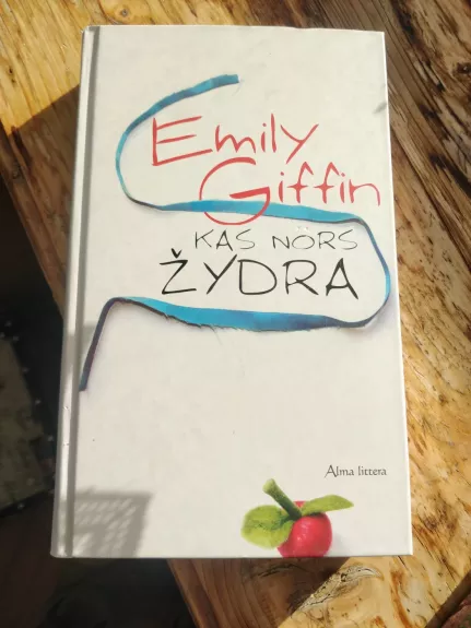 Kas nors žydra - Emily Griffin, knyga