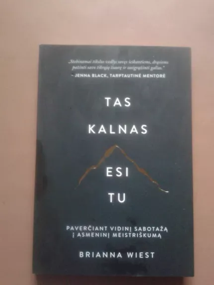 Tas kalnas esi tu - Brianna Wiest, knyga 1