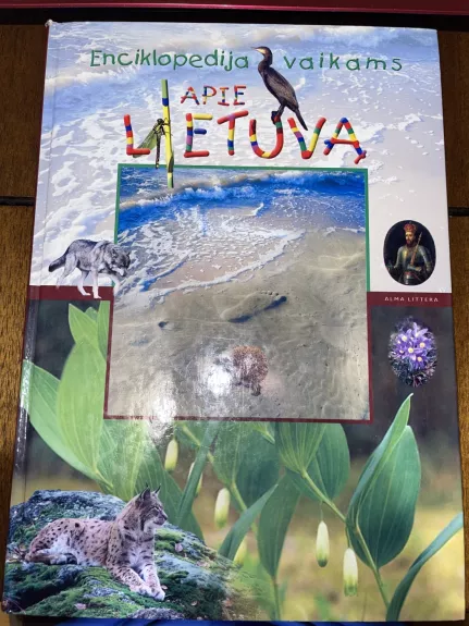 Enciklopedija vaikams apie Lietuvą - Autorių Kolektyvas, knyga