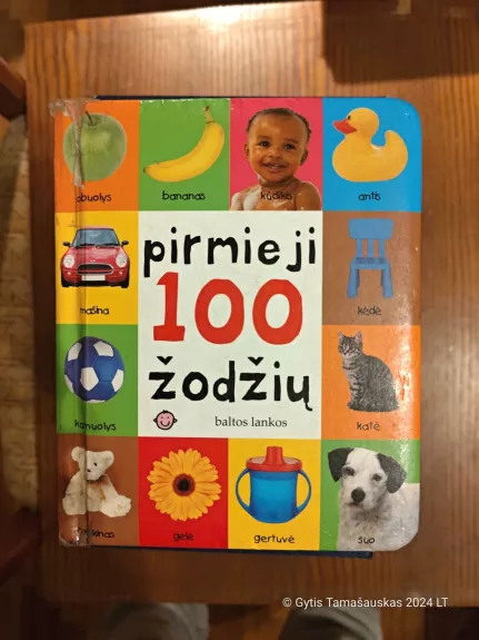 Pirmieji 100 žodžių - Dalmatian Sitting, knyga