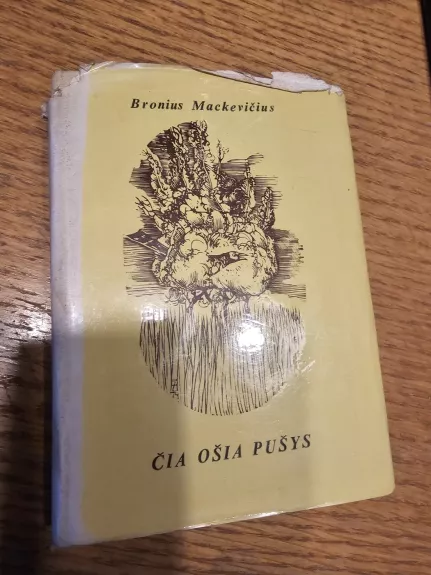 Čia ošia pušys - Bronius Mackevičius, knyga