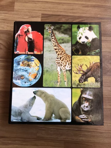Gyvūnijos pasaulyje - Autorių Kolektyvas, knyga 1