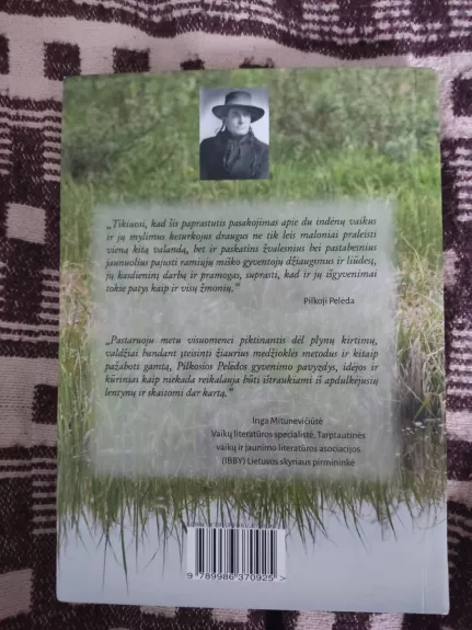 Seidžija ir jos bebrai