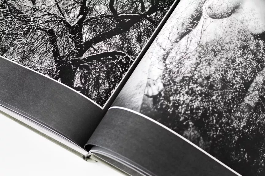 Žiedai tarp žiedų