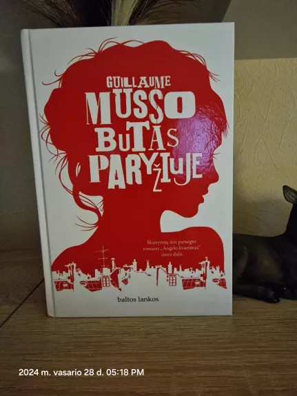 Butas Paryžiuje - Guillaume Musso, knyga