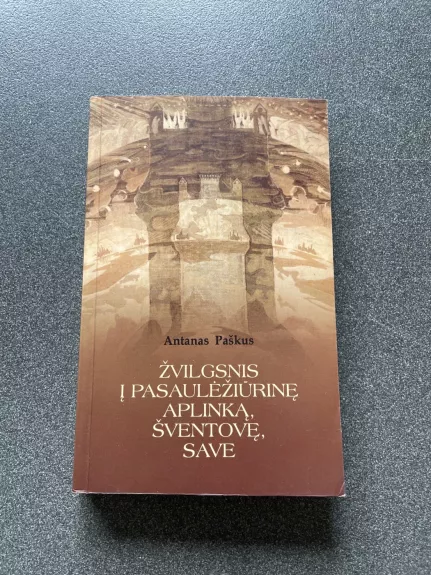 Žvilgsnis į pasaulėžiūrinę aplinką, šventovę, save