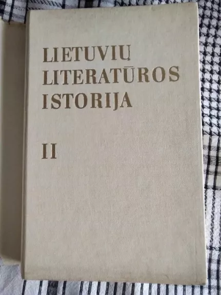 Lietuvių literatūros istorija II