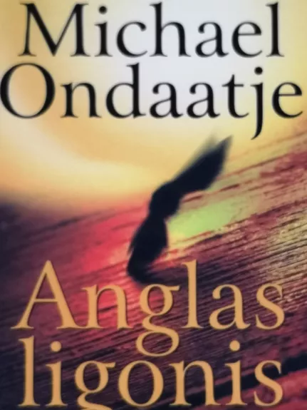 Anglas ligonis - Michael Ondaatje, knyga