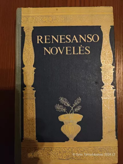 Renesanso novelės