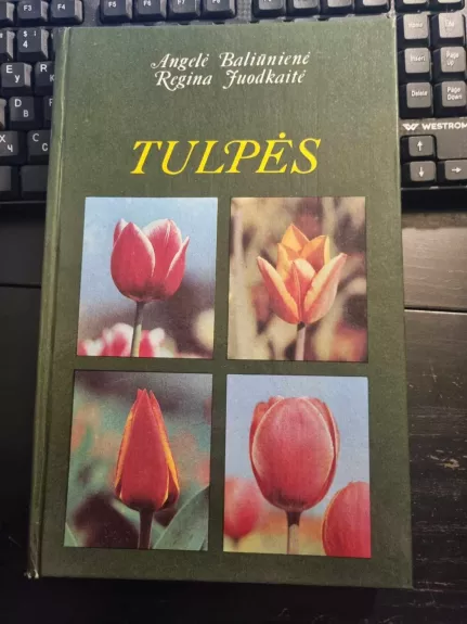 Tulpės